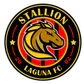 Stallions FC