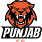 Punjab FC