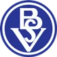 Bremer SV