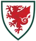 Wales U19