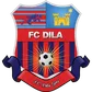 Dila Gori