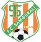 FC Samgurali Tskhaltubo