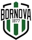 Bornova 1877 SK