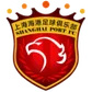 Shanghai Port